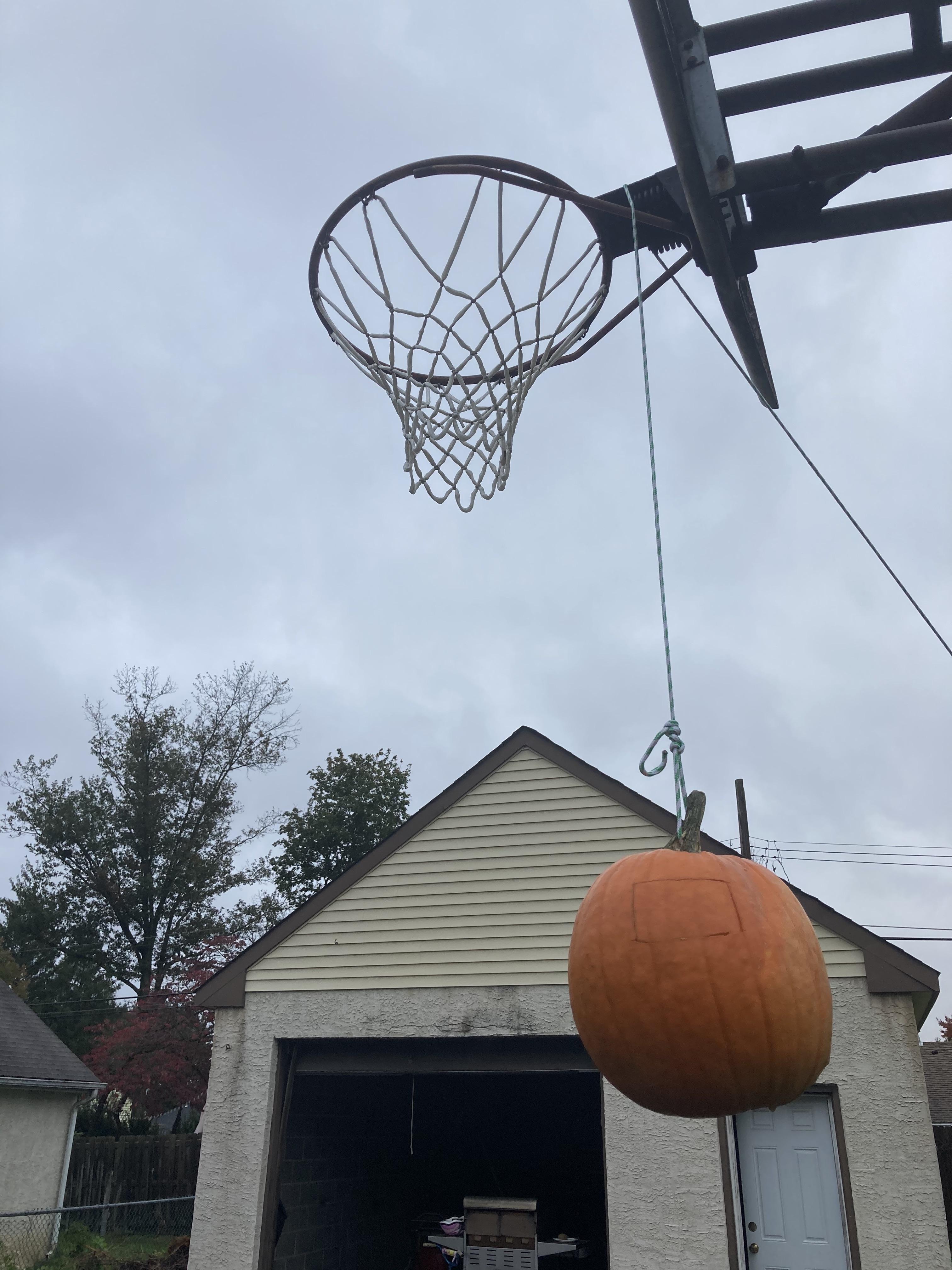IMG_3458.jpeg