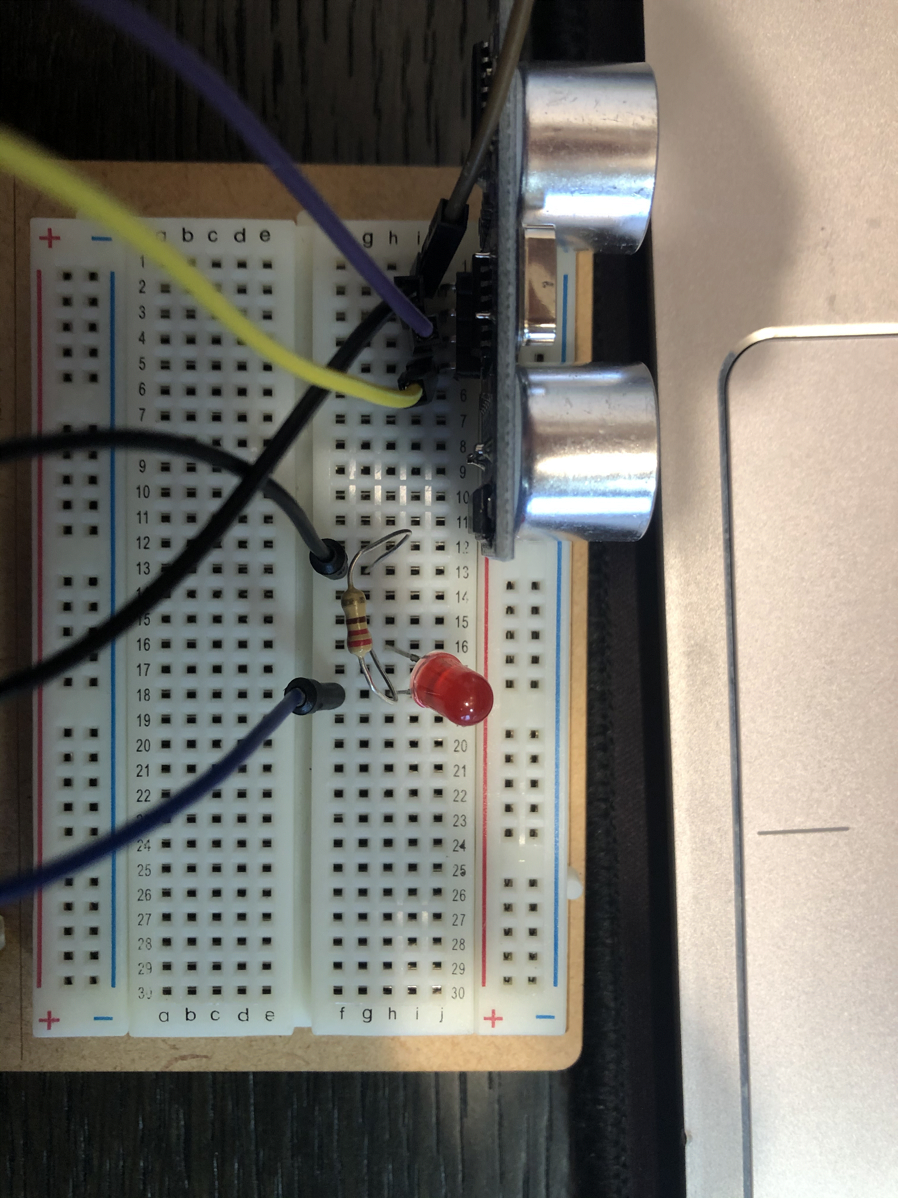 IMG_5791.gif