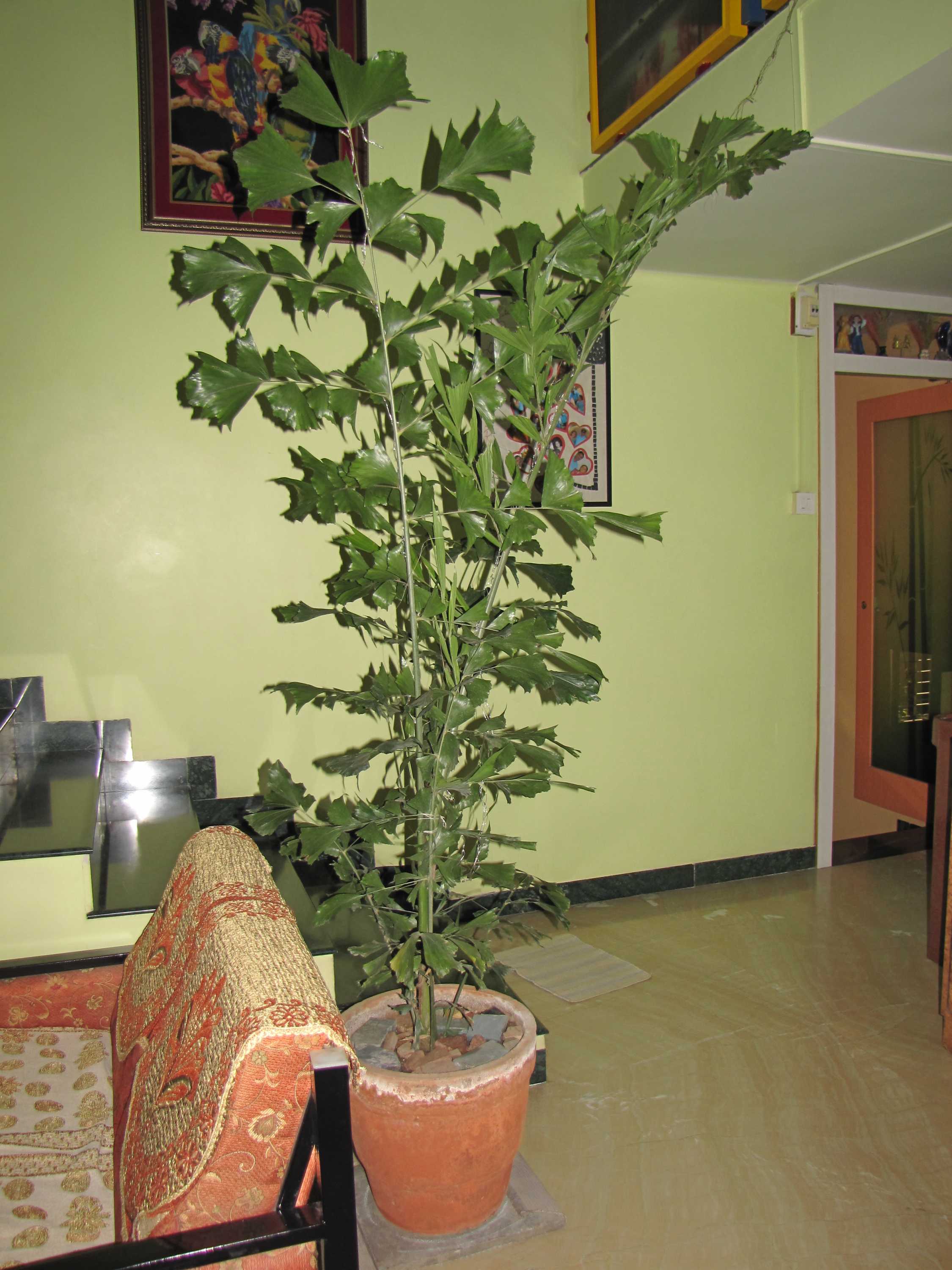 IMG_8357.JPG