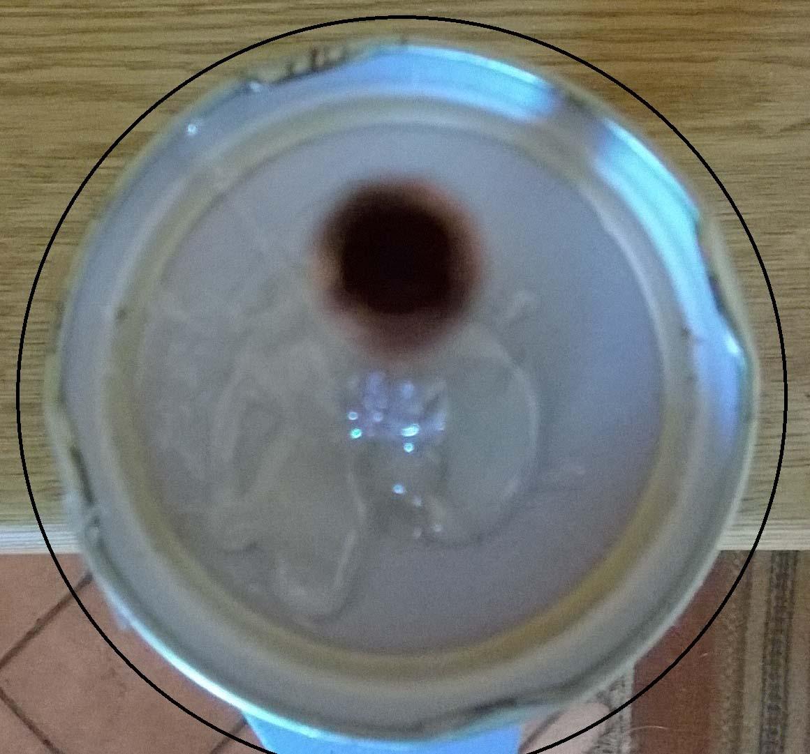 INSIDE LID.jpg