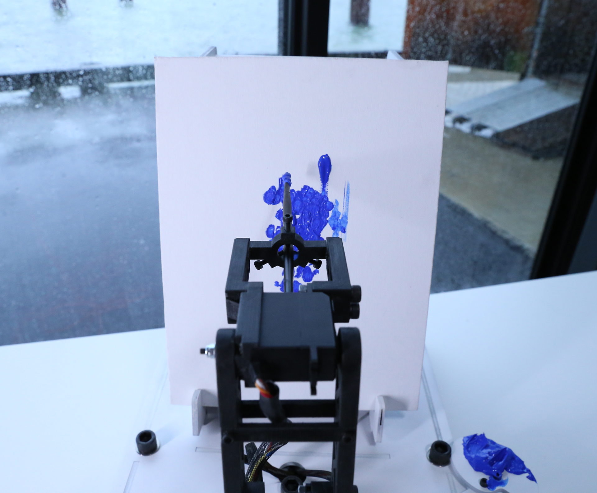 INTEL_photo along brush.jpg