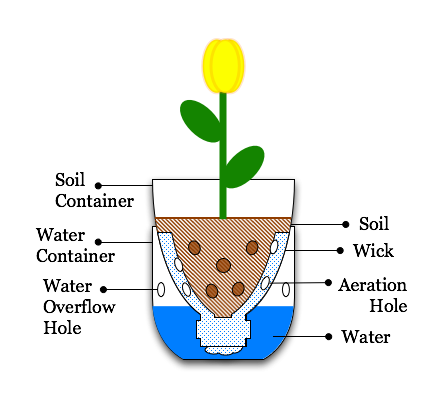 Illustration-Sub-Irrigated_Planter_from_pop_bottle.png