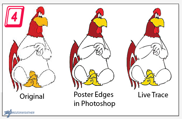 Illustrator 1 Prep 4_Comparison of 3_BOF.jpg