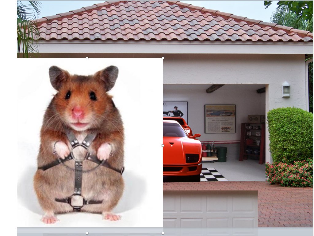 Ima Garage.010.jpeg