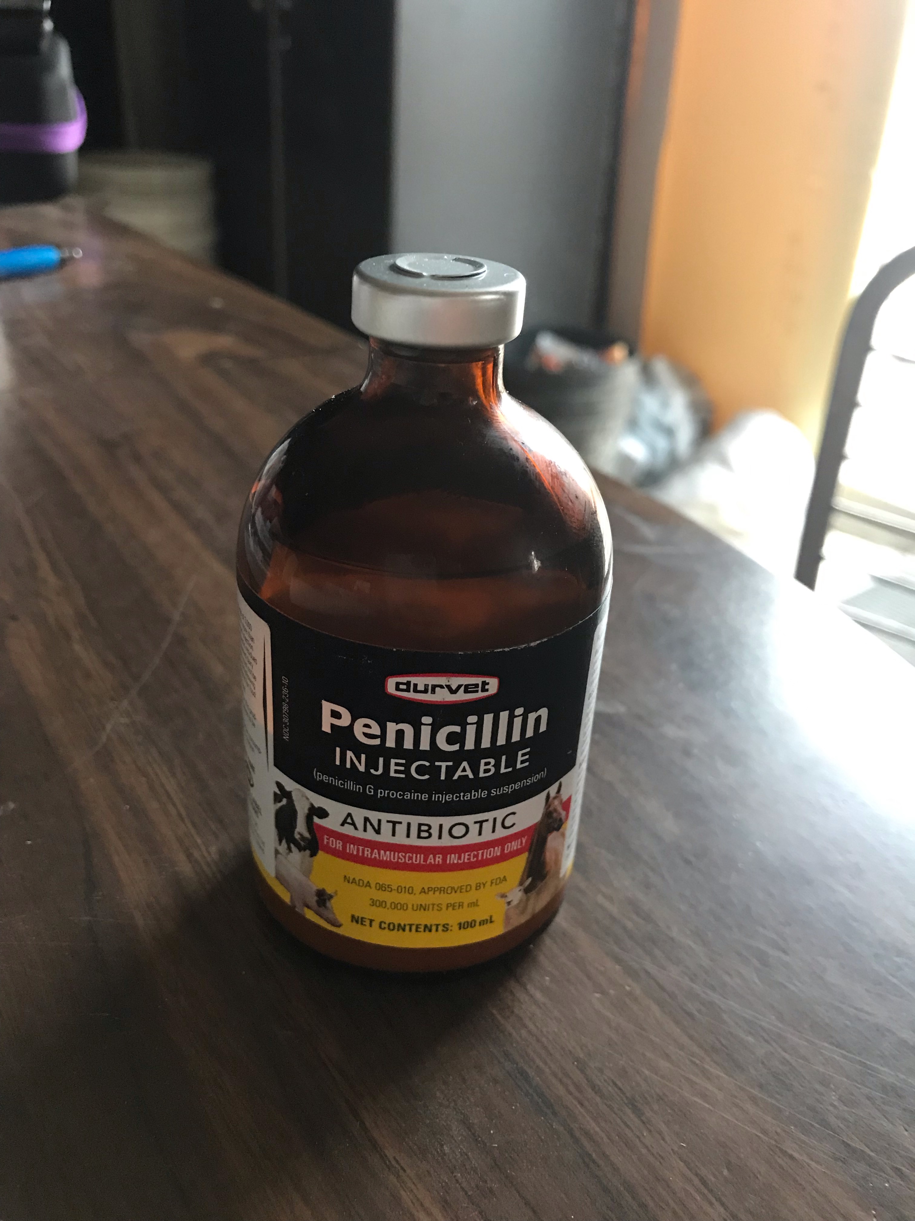 Image-11.png