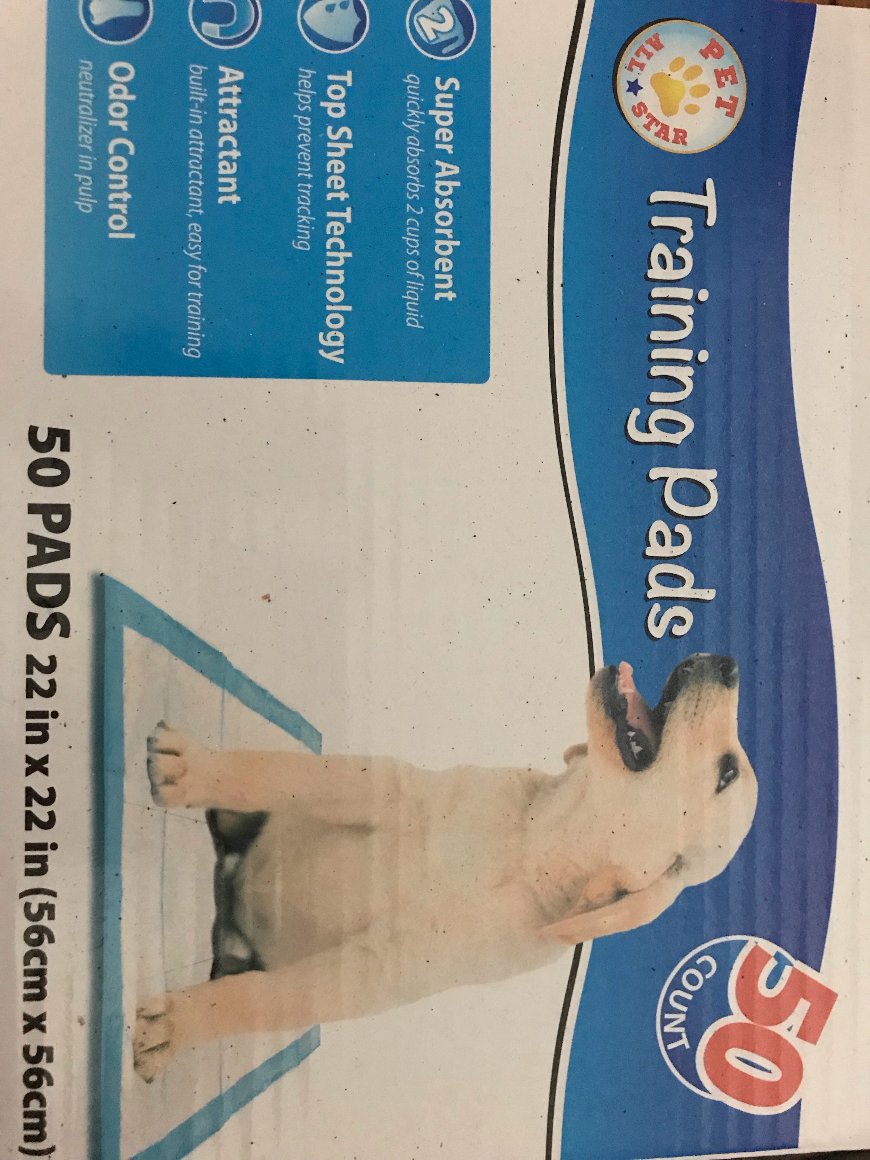 Image-2.png