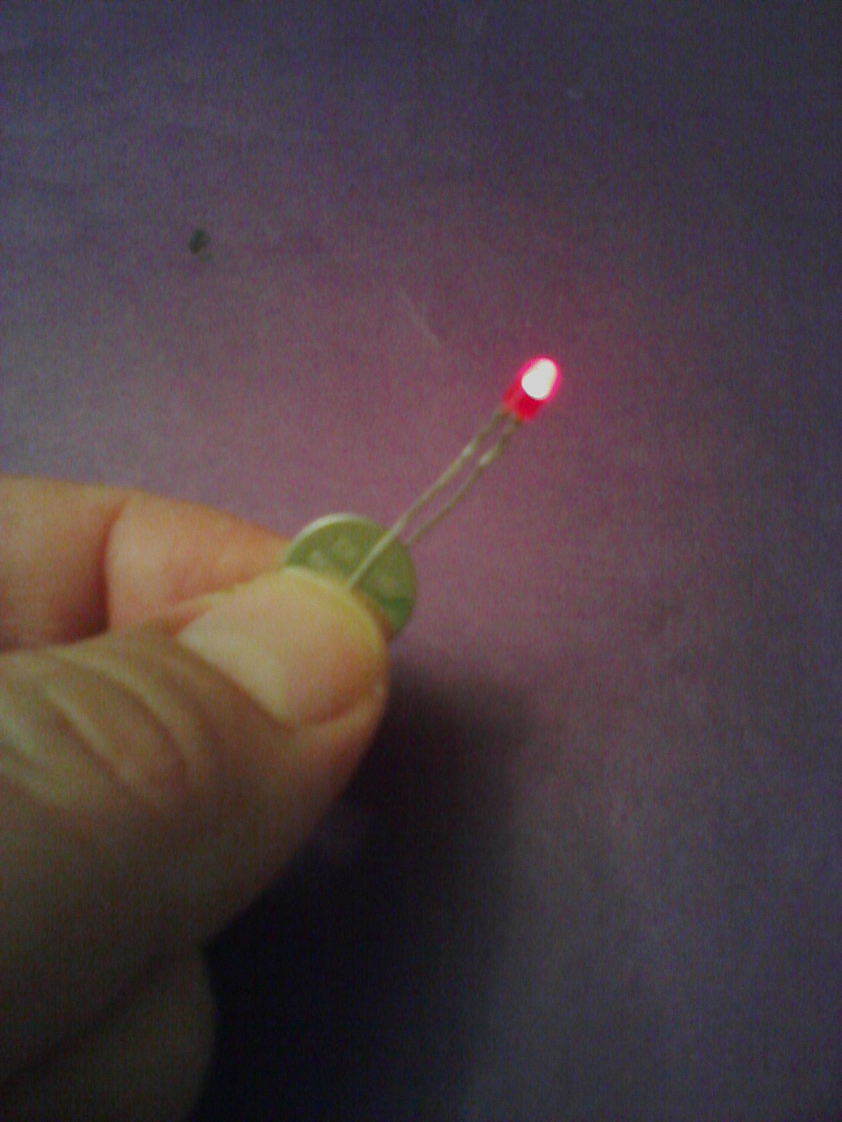 Image08192013203942.jpg