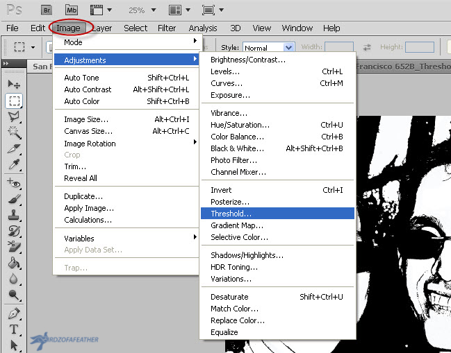 Image_Adjustments_Threshold_bof.jpg