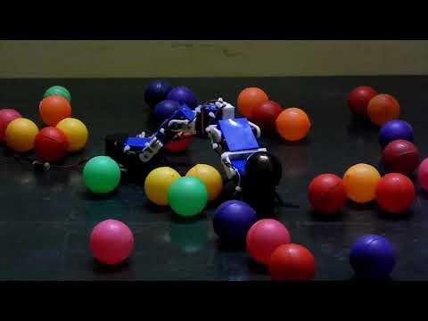 Inchworm Robot Play