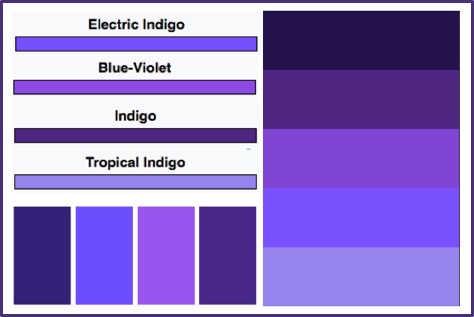 Indigo Shades.jpg