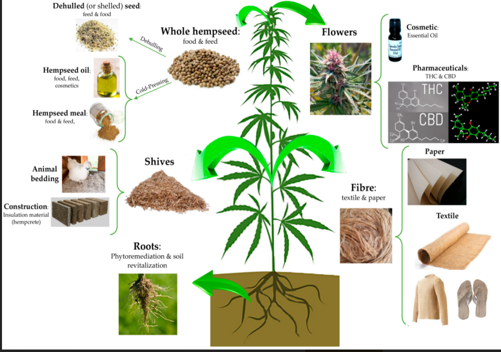 IndustrialHempGraphic.png