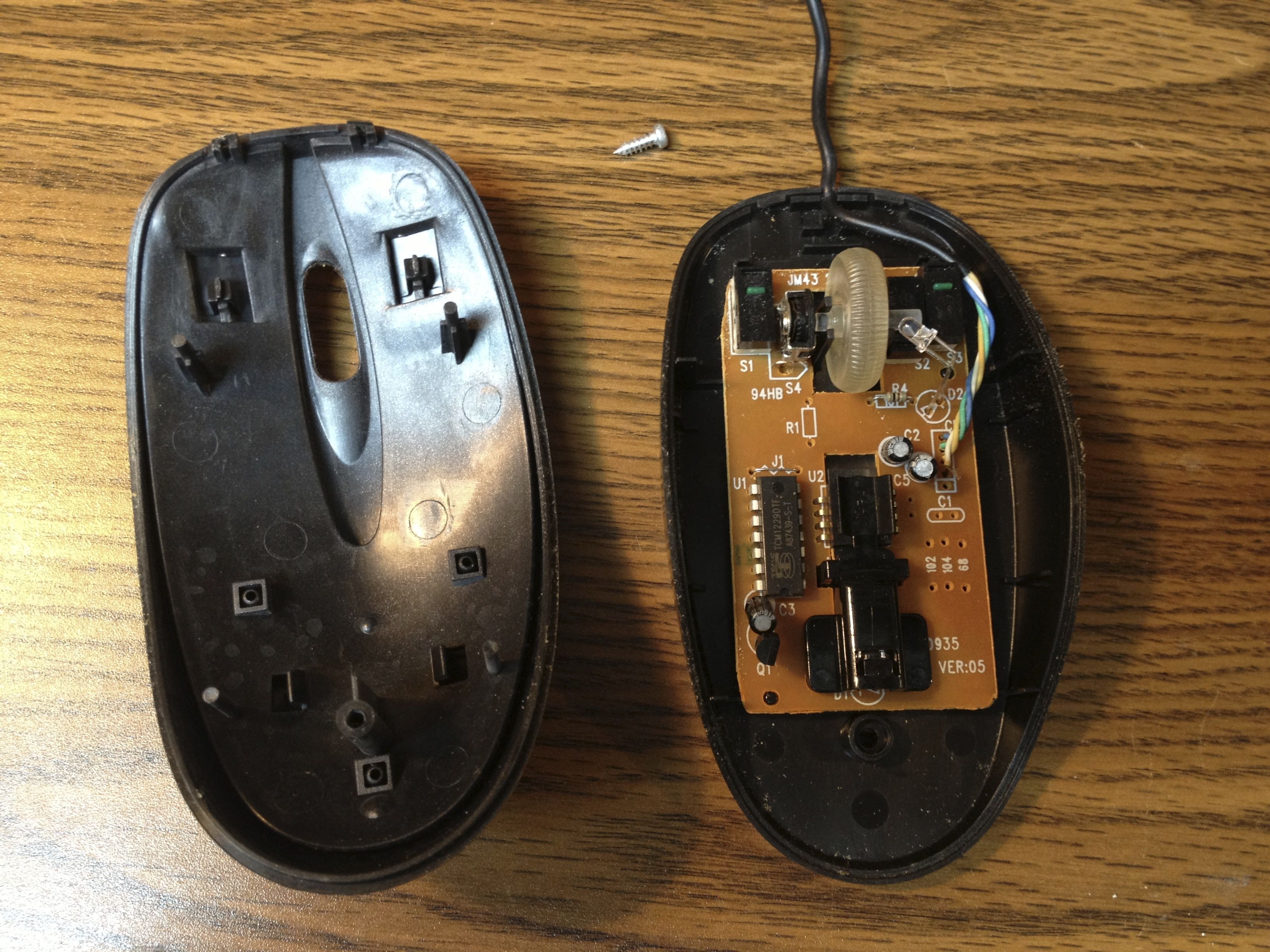 Inside of Mouse.jpg