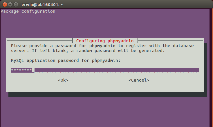 InstallphpmyadminDbPassword.png