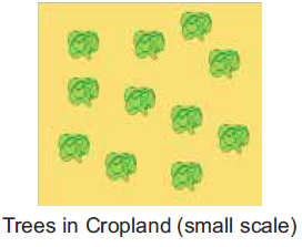 Instructables - Trees in Cropland.png