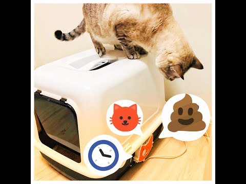 IoT Cat Litter Box!