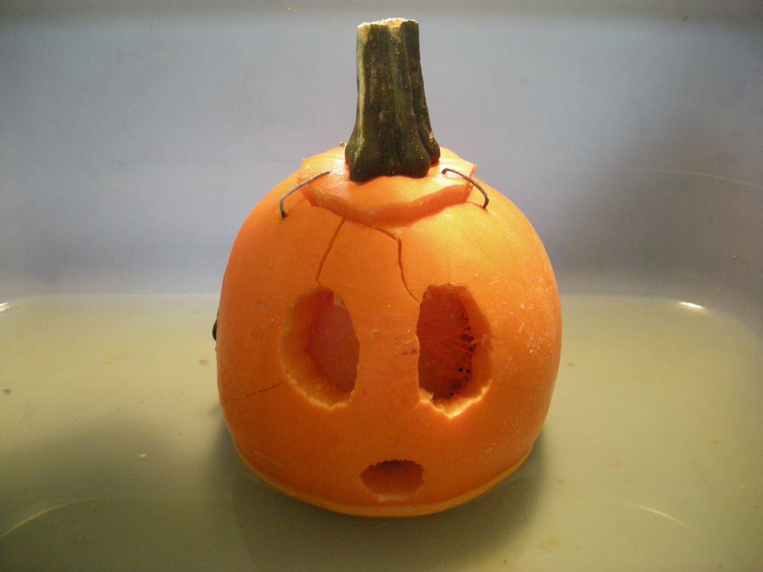 Jack-O-Lantern 2 016.jpg