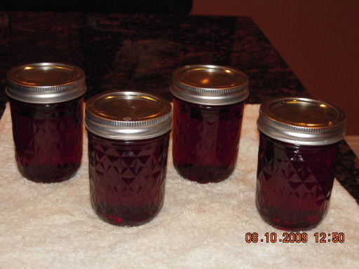 Jelly-030.JPG