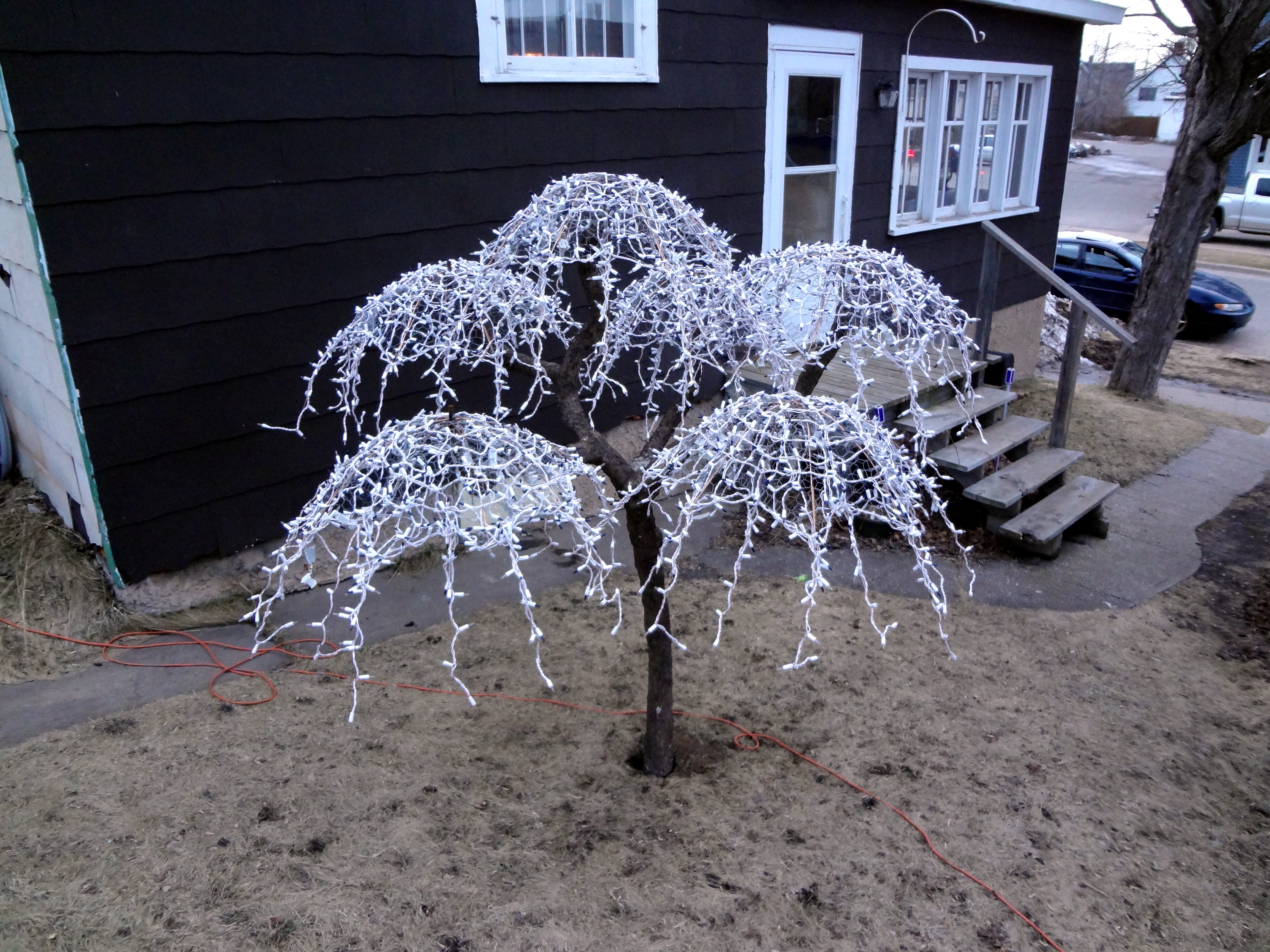 Jeremiah's tree with Uncle Earls lights-dusk-p.JPG