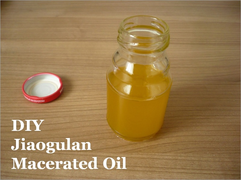 Jiaogulan-macerated-oil.jpg