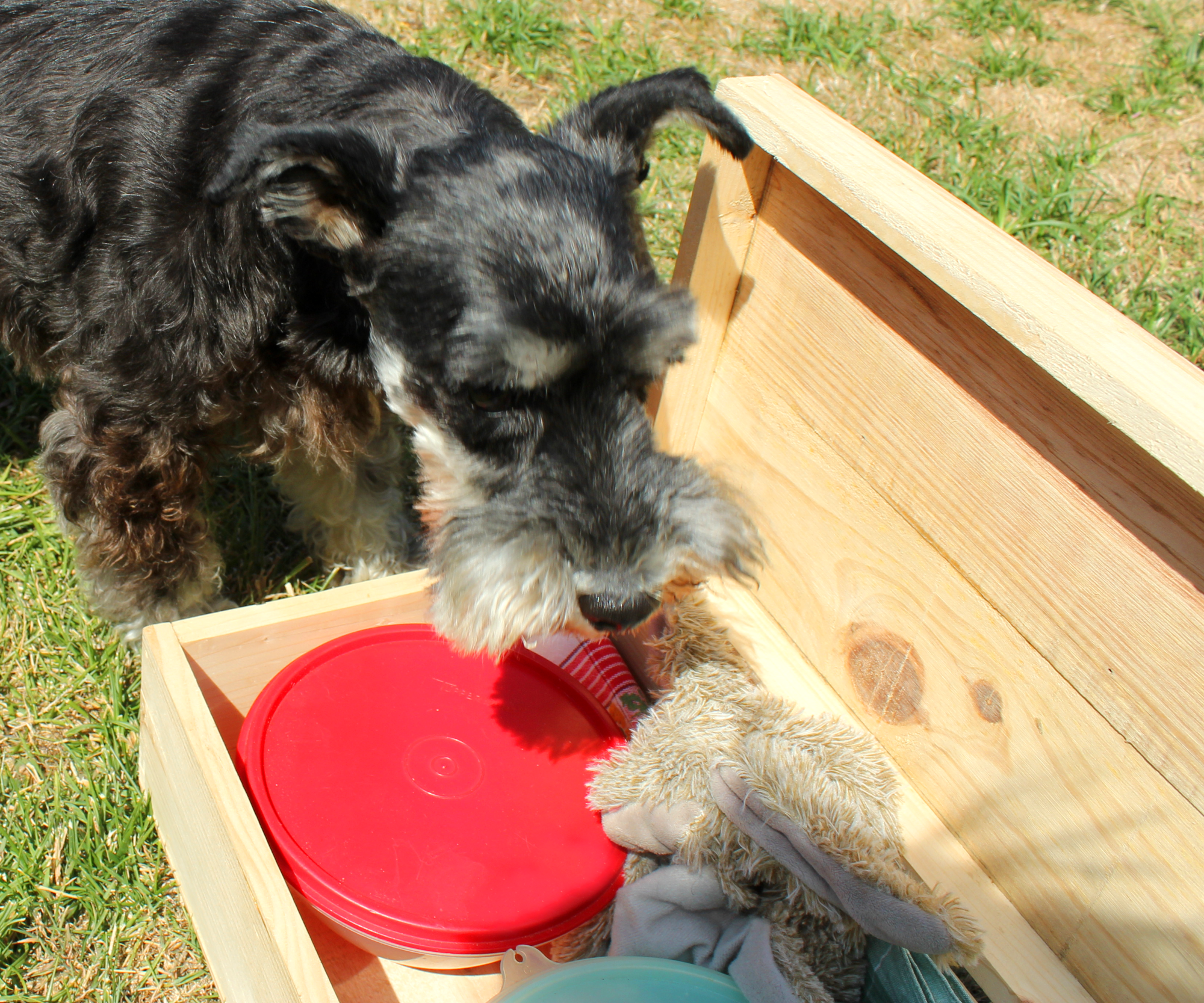 Jyka's travelling Picnic Box.png