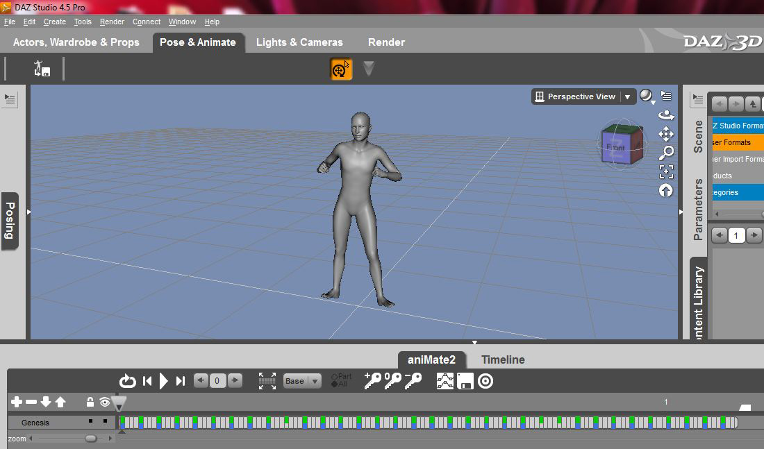 Key Frame Capture.JPG