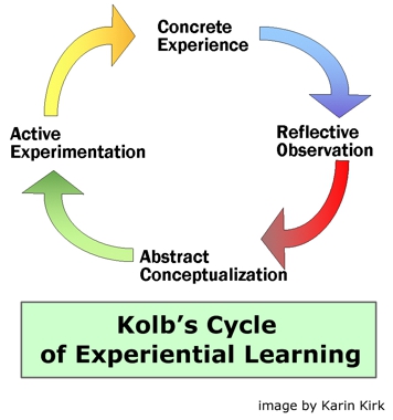 Kolb's_cycle (1).jpg