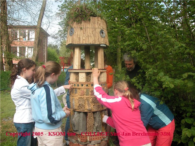 Kopie van btoren met school.jpg