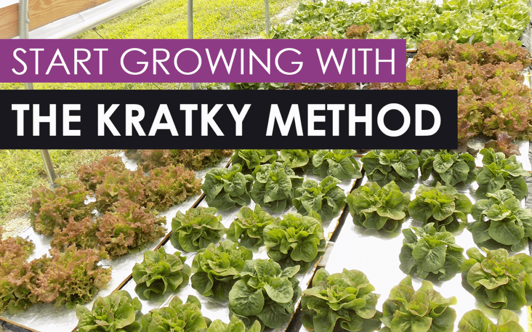 Kratky-Method-1080x675.png