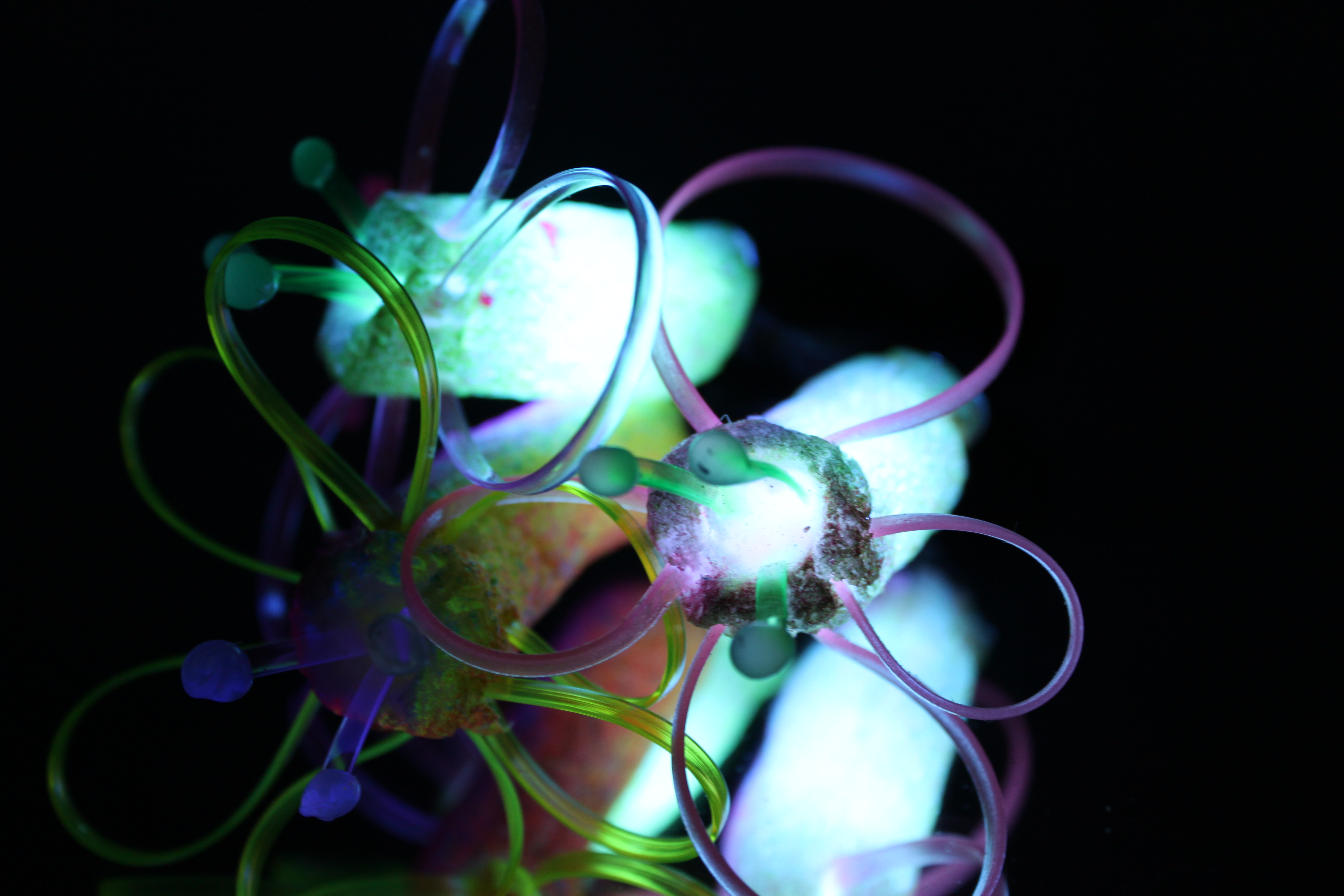 LED Flower process 067.JPG