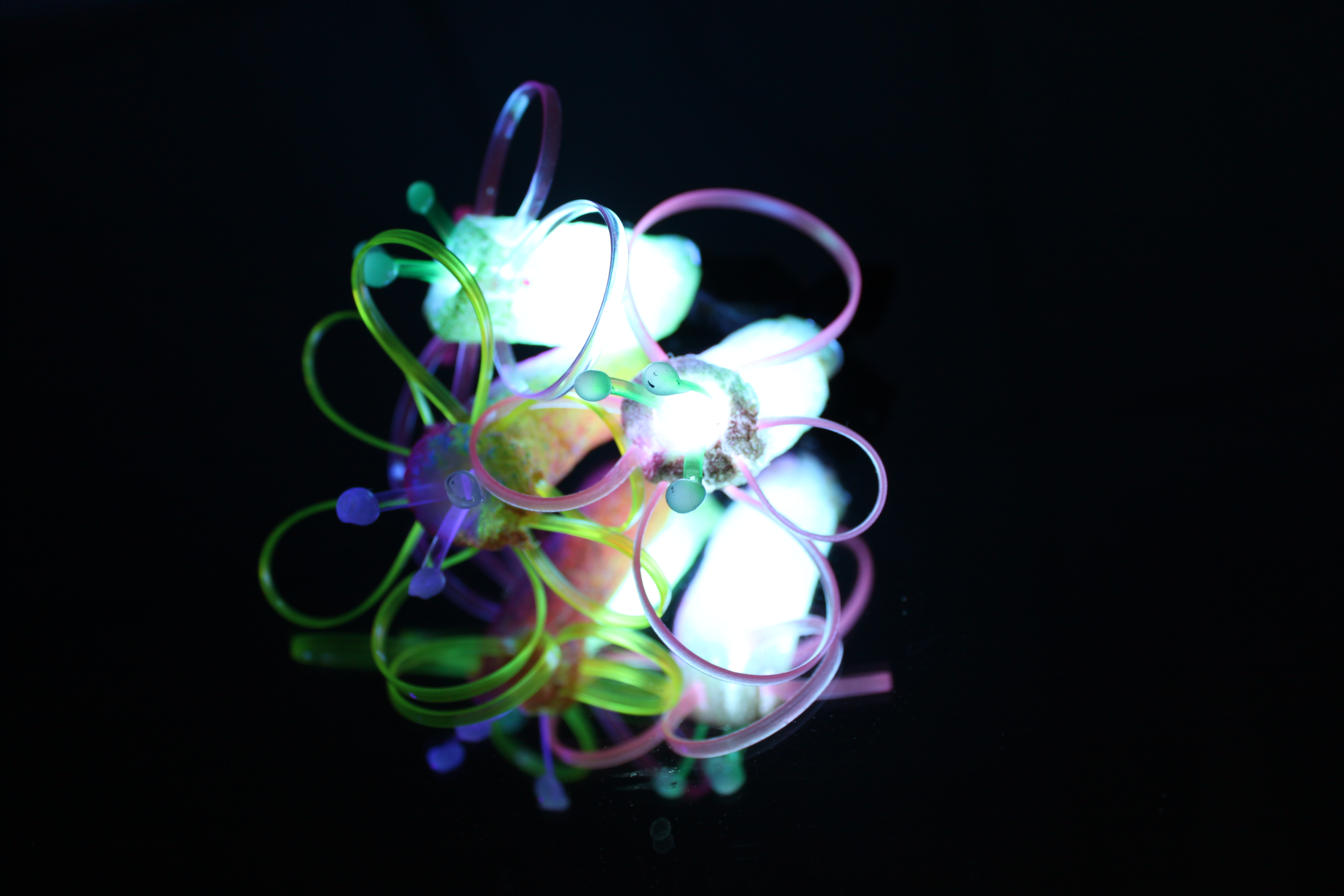 LED Flower process 068.JPG