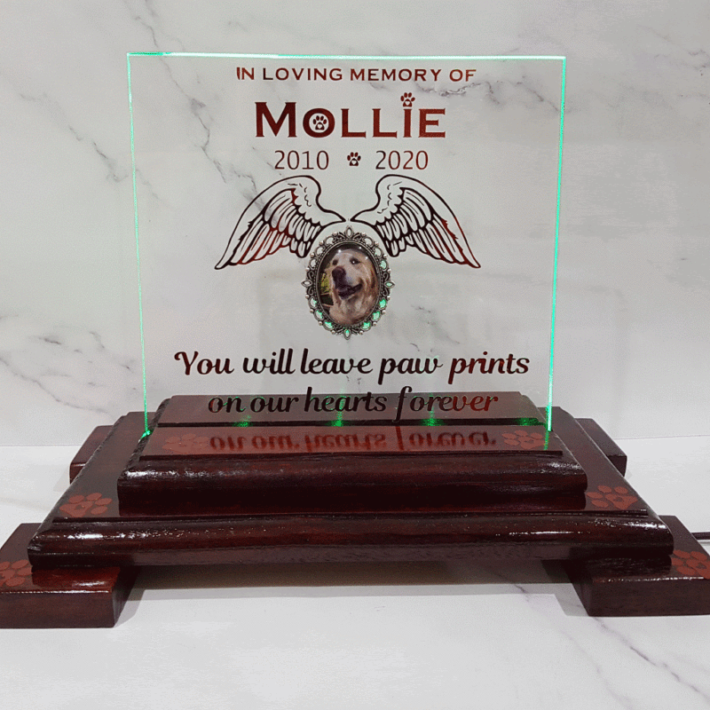 LED Light Pet Memorial Plaque (1).gif