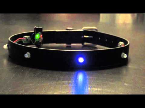 LED belt