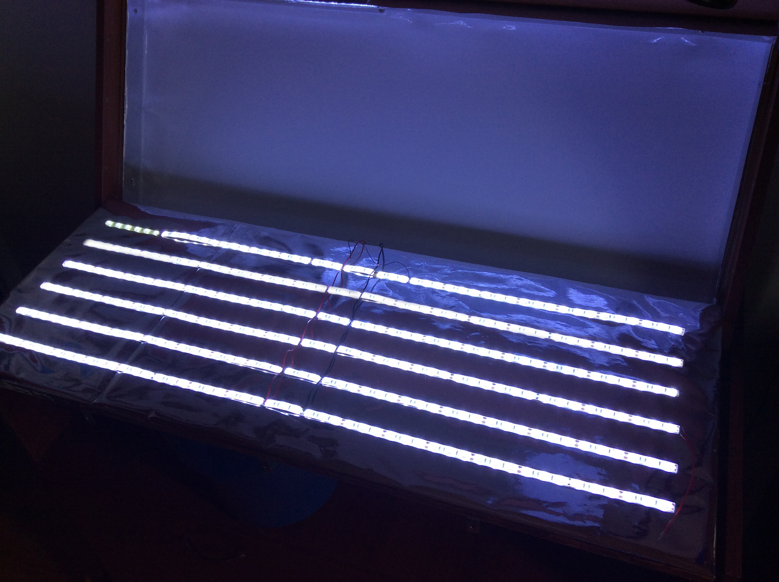 LEDs 1.jpg