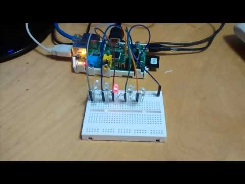 LEDs blinking controlled by Raspberry Pi