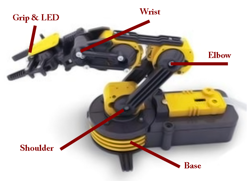 Labeled Arm.bmp