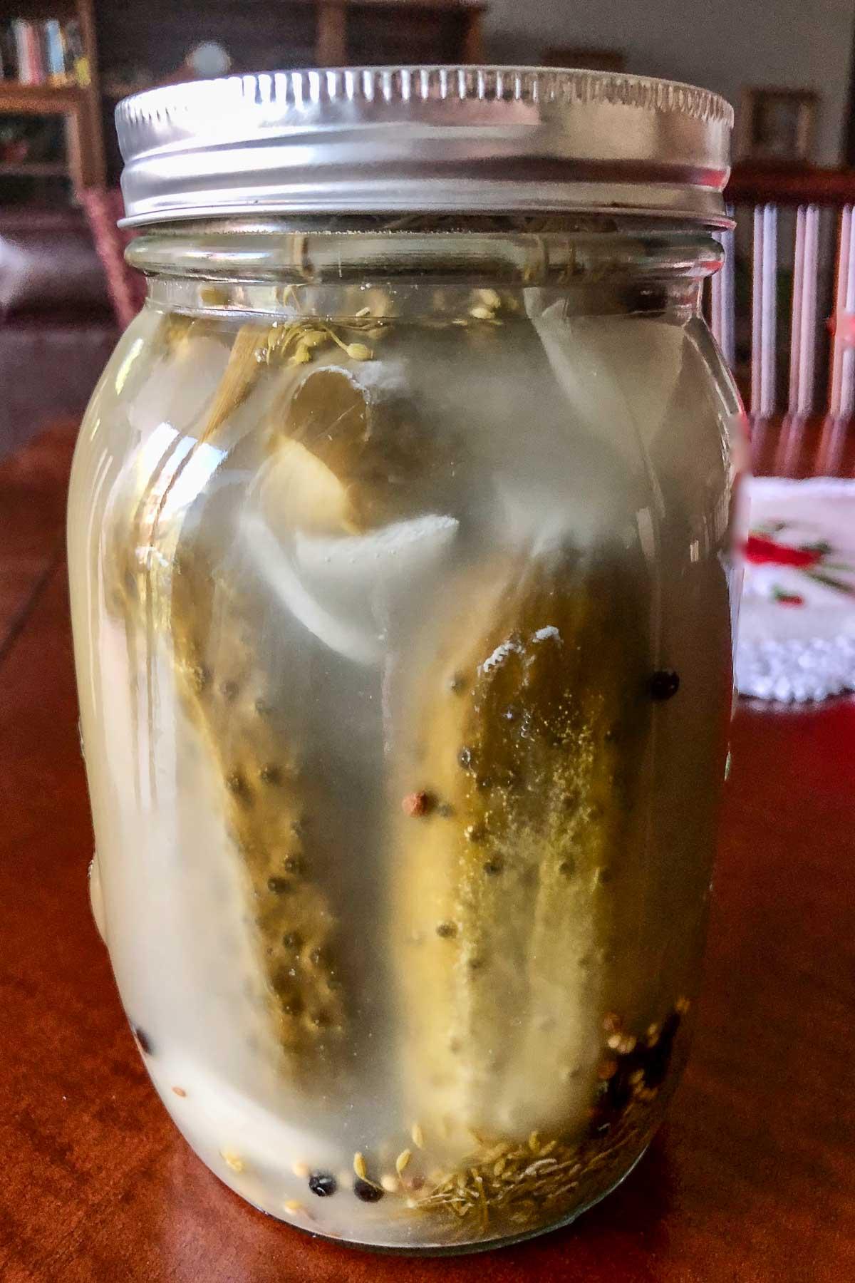 Lacto-fermented-pickles-in-a-jar.jpg