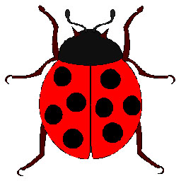 Ladybug.jpg