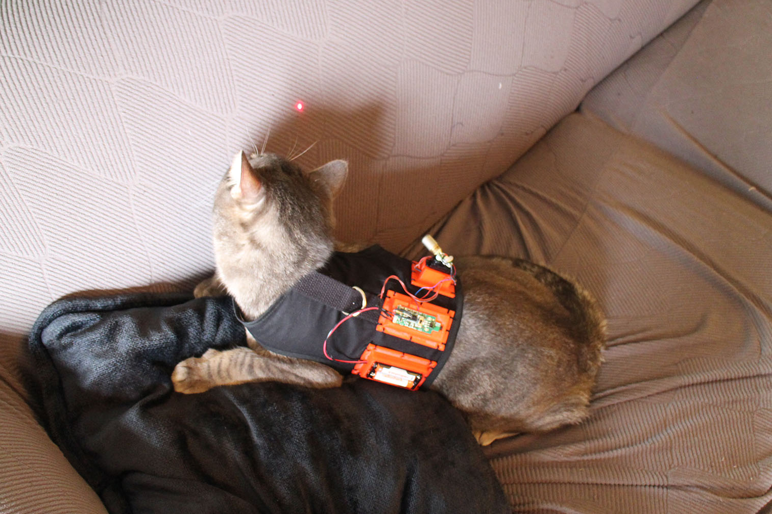 Laser Cat Couch 2.bmp