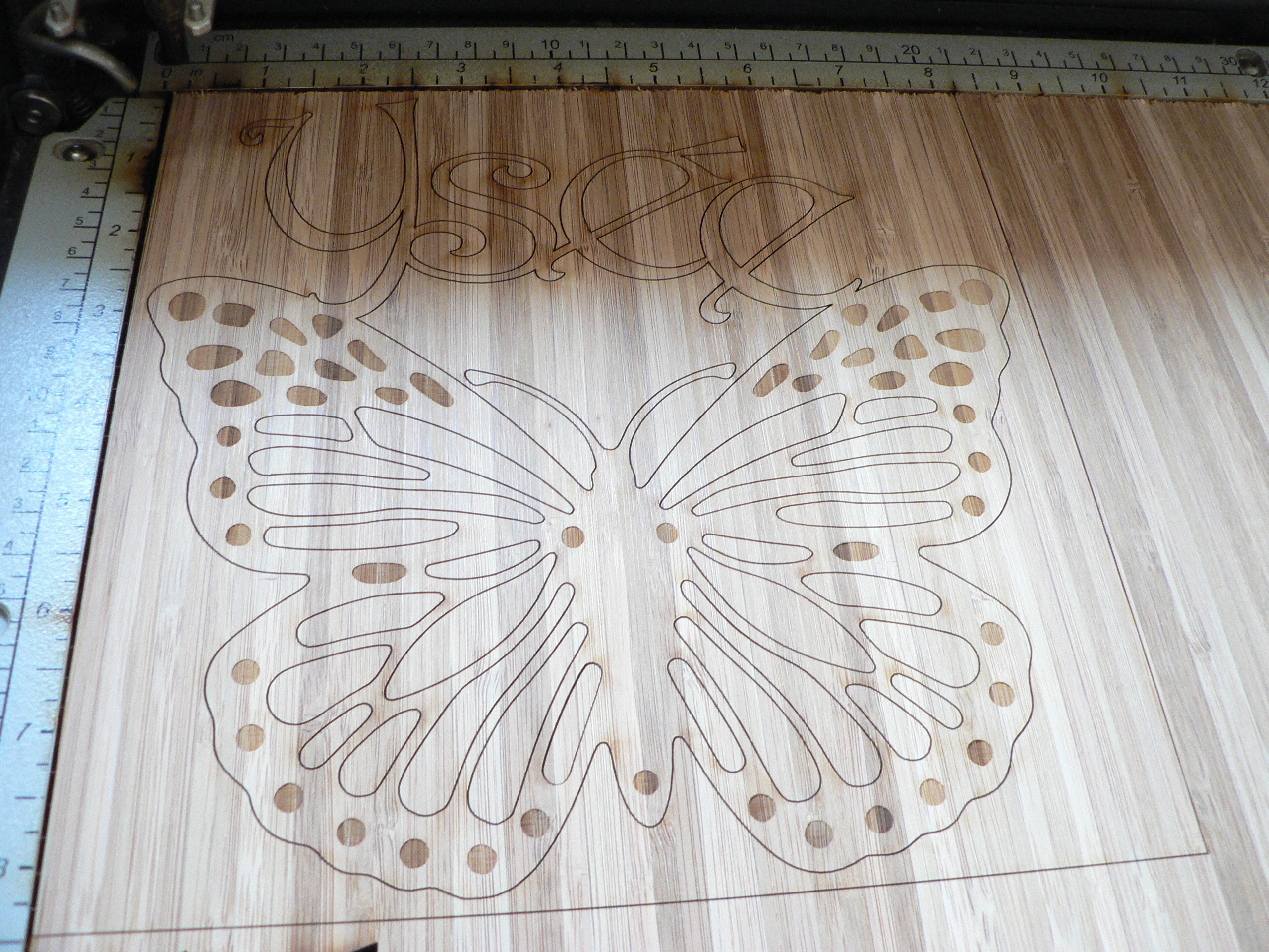 Laser cut custom interior door decorations 2012-08-10 12.49.05.jpg