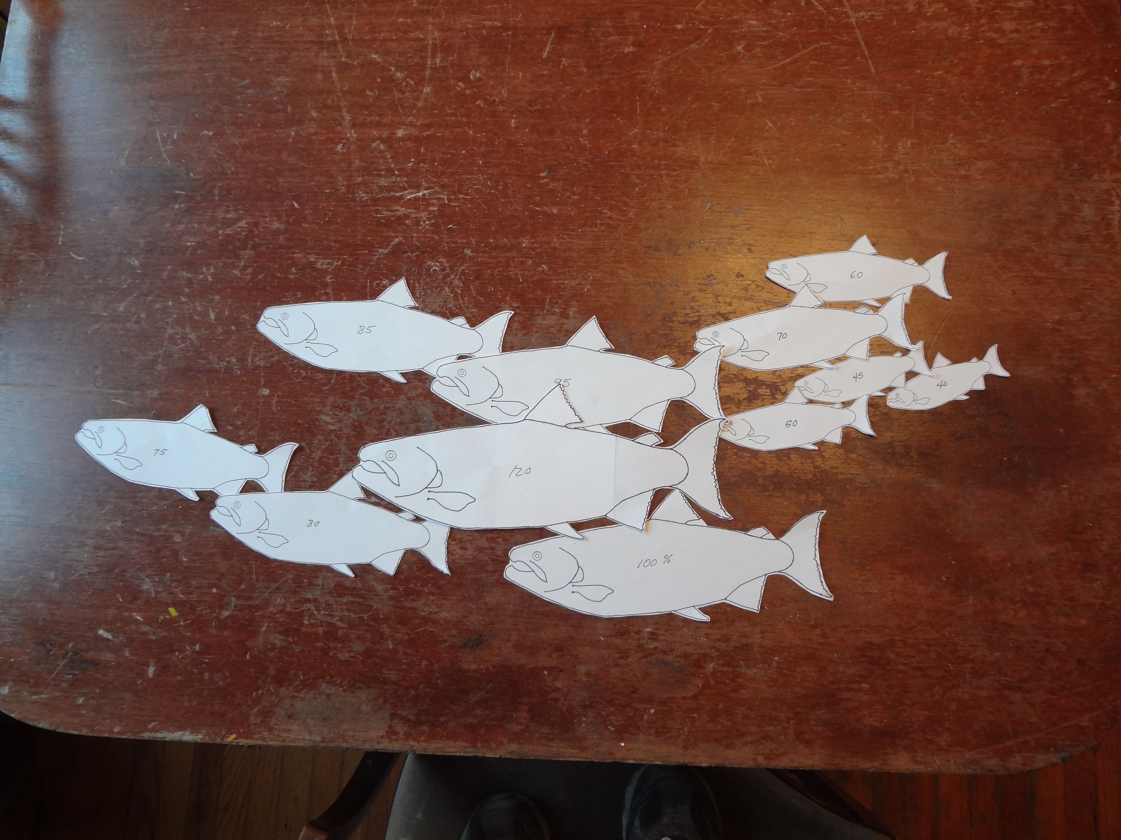 Layout of fish sculpture in paper.JPG