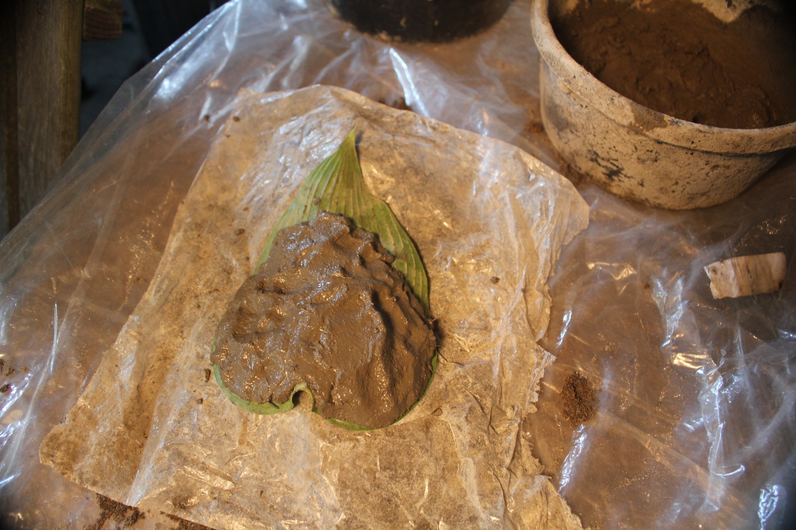 Leaf Cating 003.jpg