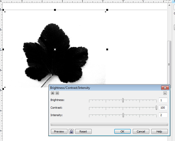 Leaf1Contrast100.jpg