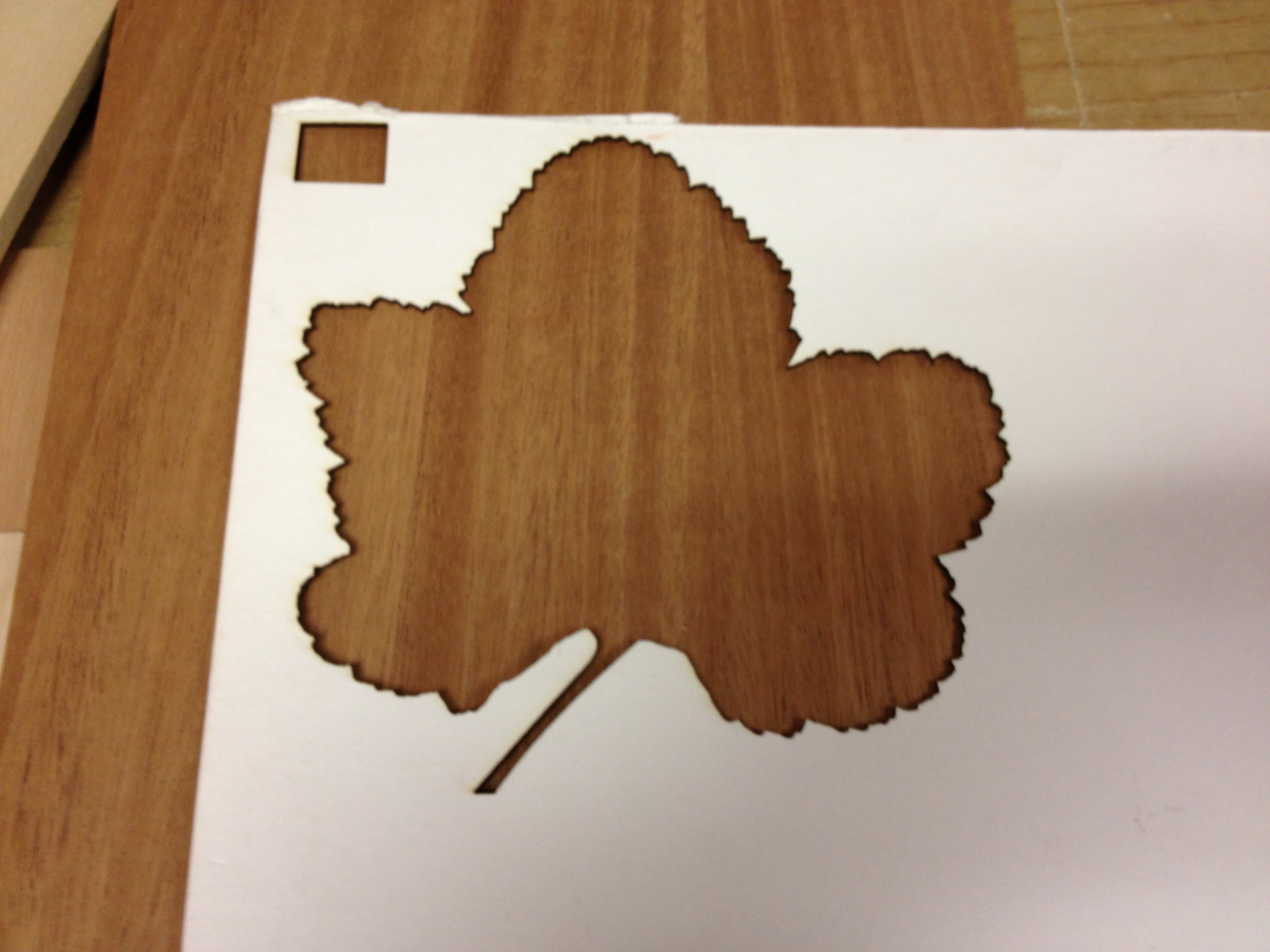 Leaf1Veneer2.jpg