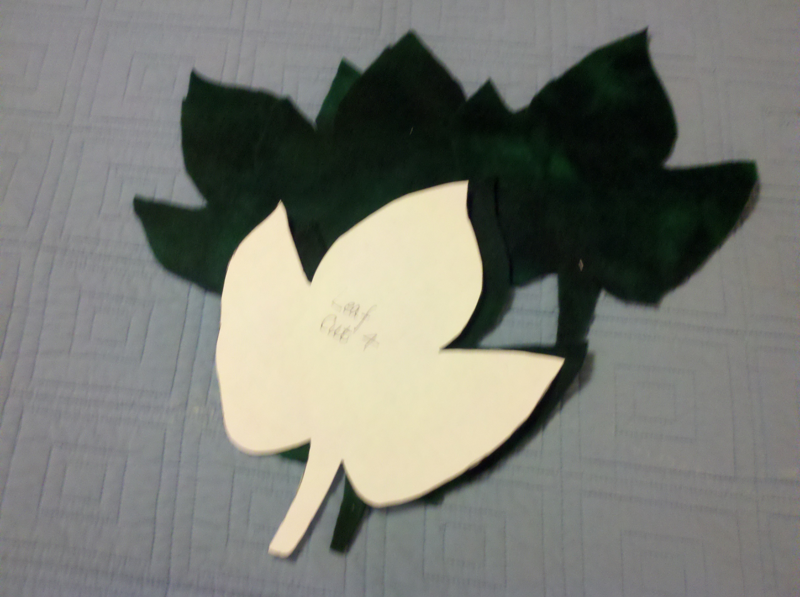 Leaves cut out.jpg