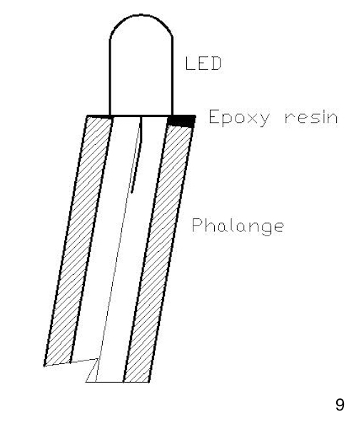 Led (1).jpg