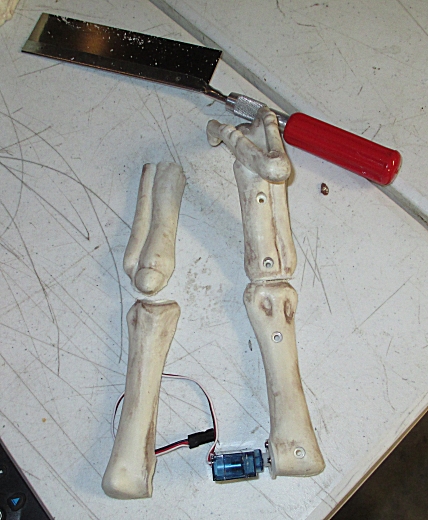 Left Leg Separated and Knee Cut.jpg