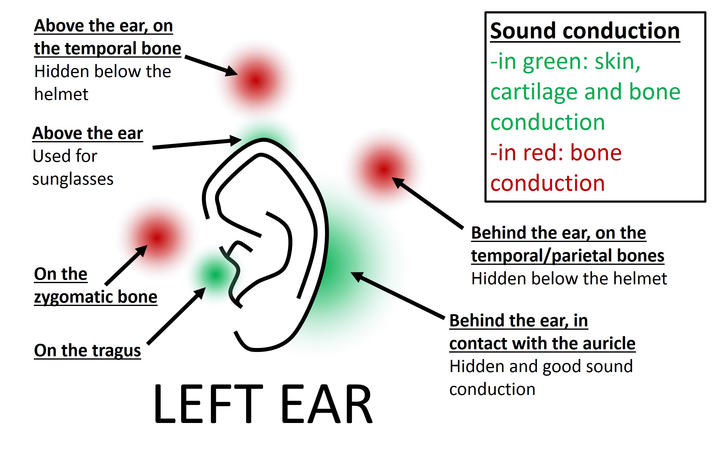 LeftEar2.jpg