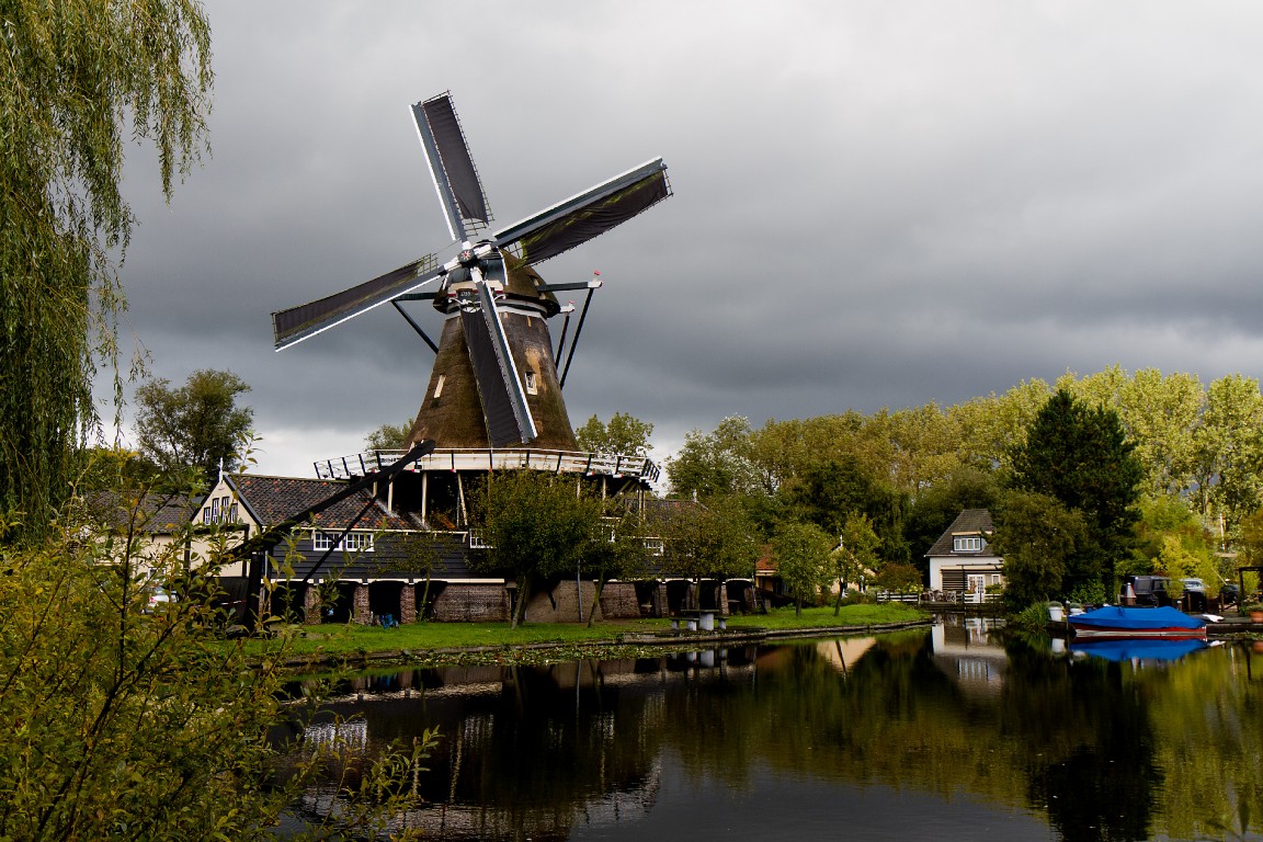 Leiden_-_molen_de_Herder_met_vier_volle_zeilen_CC (Medium).jpg