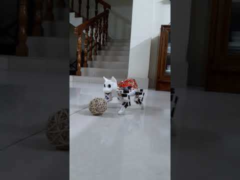 Leo: the Pet Cat Robot