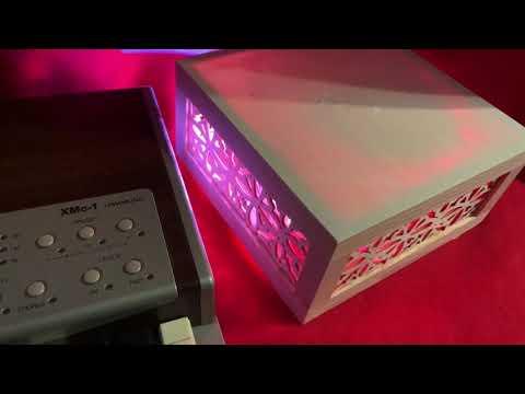 Leslie Birchinator MIDI Controller/Visualizer